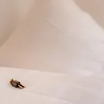 شقة Haus Bergfrieden *