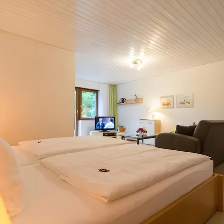 Haus Bergfrieden * 巴特黑雷纳尔布